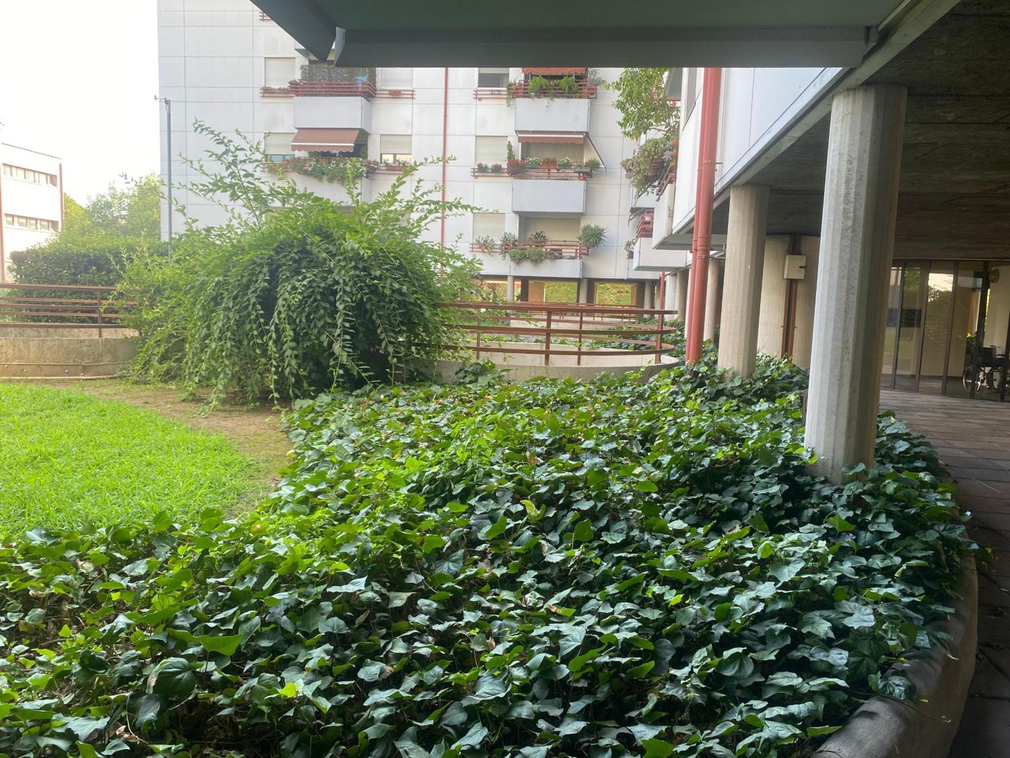 La Belle Vue Apartment Verona Bagian luar foto